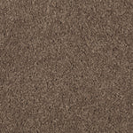 Load image into Gallery viewer, Nature's Charm II - Nutmeg (512)
