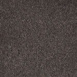 Load image into Gallery viewer, Natural Splendor II - Dried Peat (524)
