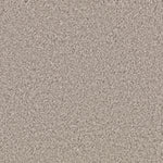 Load image into Gallery viewer, Natural Splendor II - Mineral Grey (526)
