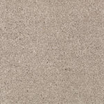 Load image into Gallery viewer, Natural Splendor II - Overcast (522)
