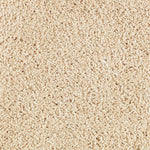 Load image into Gallery viewer, Native Allure I - Shoreline (506)
