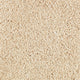 Shoreline (506)