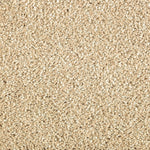 Load image into Gallery viewer, Native Allure I - Beach Pebble (513)
