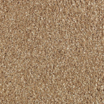 Load image into Gallery viewer, Natural Refinement I - Glazed Ginger (504)
