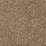 Load image into Gallery viewer, Native Allure I - Rich Earth (516)
