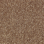 Load image into Gallery viewer, Natural Refinement I - Cat-Tail (508)
