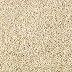 Load image into Gallery viewer, Stonington Manor II - Parchment (509)
