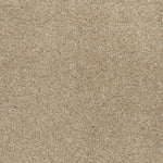Load image into Gallery viewer, Stonington Manor II - Sand Dollar (517)
