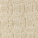 Load image into Gallery viewer, Refined Interest Mohawk EverStrand carpet
