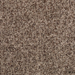 Load image into Gallery viewer, Tonal Chic I - ['Royal Pecan'] (['858'])
