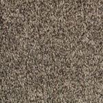 Load image into Gallery viewer, Natural Accents I - ['Black Walnut'] (['869'])
