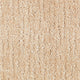 Maple Tint (503)