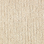 Load image into Gallery viewer, Carefree Nature - Sand Dollar (517)
