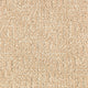 Maple Tint (503)