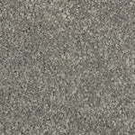 Load image into Gallery viewer, Elegant Appeal I - ['Aspen'] (['672'])

