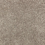 Load image into Gallery viewer, Elegant Appeal I - ["Tomorrow's Taupe"] (['820'])
