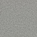Load image into Gallery viewer, Exquisite Attraction - Antiqued Silver (525)
