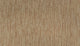Maple Tint (503)