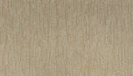 Load image into Gallery viewer, Natural Detail - Sand Dollar (517)
