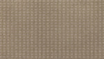 Load image into Gallery viewer, Outstanding Artistry - Seashell (503)
