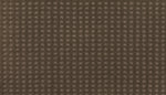 Load image into Gallery viewer, Popular Appearance - Bison (521)
