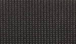 Load image into Gallery viewer, Popular Appearance - Raven (519)
