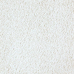 Load image into Gallery viewer, Exquisite Shades - Monarch Bone (508)
