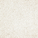 Load image into Gallery viewer, Exquisite Tones - Luminescence (516)
