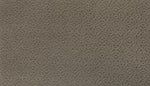 Load image into Gallery viewer, Exquisite Charm - Moonlit Grey (508)

