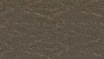 Load image into Gallery viewer, Untamed Chic 839
