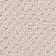 Cashmere (504)
