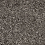 Load image into Gallery viewer, Pleasant Touch - Keystone (534)
