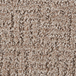 Load image into Gallery viewer, Stylish Edge - ['Carmelita'] (['781'])
