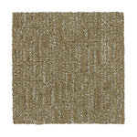 Load image into Gallery viewer, Natural Essentials - Champagne (772)
