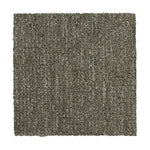 Load image into Gallery viewer, Natural Essentials - Jasper (840)
