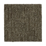 Load image into Gallery viewer, Natural Texture - Sequoia (868)
