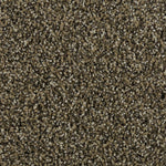 Load image into Gallery viewer, Natural Option I - Balsam Beige (848)
