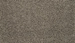 Load image into Gallery viewer, Natural Opulence II - Taupe Delight (869)
