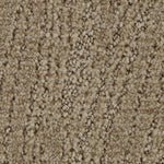 Load image into Gallery viewer, Stylish Trend - ['Chiffon'] (['768'])
