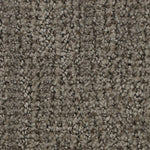 Load image into Gallery viewer, Stylish Trend - ['Mist'] (['829'])
