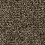 Load image into Gallery viewer, Popular Style - ['Malted'] (['883'])
