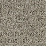 Load image into Gallery viewer, Stylish Tones - ['Yearling'] (['805'])
