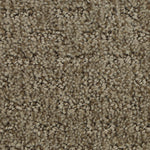 Load image into Gallery viewer, Stylish Tones - ['Hickory'] (['863'])
