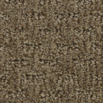 Load image into Gallery viewer, Attractive Trend - ['Tightrope'] (['876'])
