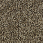 Load image into Gallery viewer, Stylish Tones - ['Malted'] (['883'])

