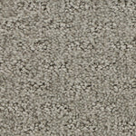 Load image into Gallery viewer, Attractive Trend - ['Starlet'] (['940'])
