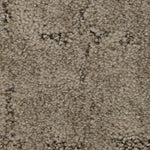 Load image into Gallery viewer, Elaborate Appeal - ['Nomad'] (['805'])
