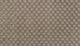 Ancient Scroll (863)