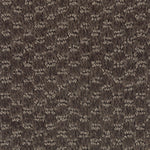 Load image into Gallery viewer, Jameson Crossing - ['Cigar Leaf'] (['888'])
