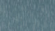 Surf (578)